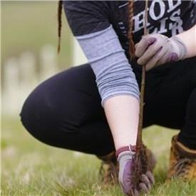Plant a Tree Scheme with ERS and Epson Plant a Tree Scheme with ERS and Epson